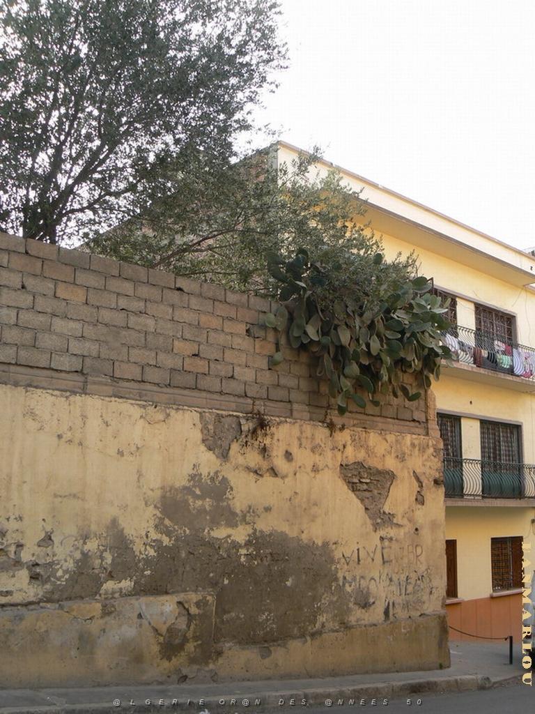 120 rue Kraft.jpg
